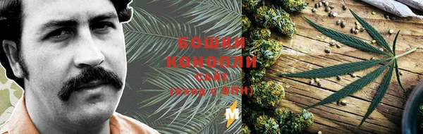 прущие крисы Верея